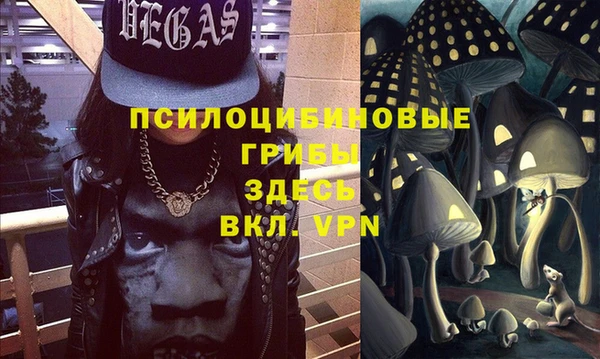 твердый Алексин