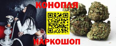 гашик Железногорск