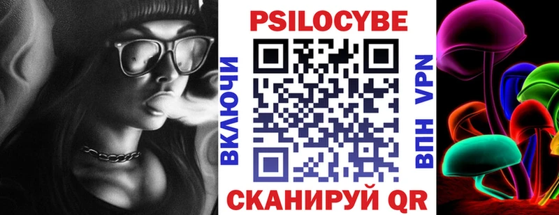 Псилоцибиновые грибы Psilocybe  Кострома 