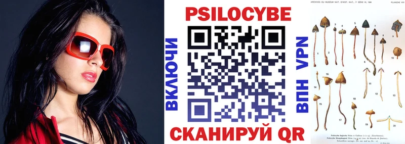 Галлюциногенные грибы Psilocybine cubensis Кострома