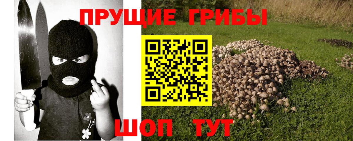Галлюциногенные грибы GOLDEN TEACHER  Вход с VPN  Кострома 