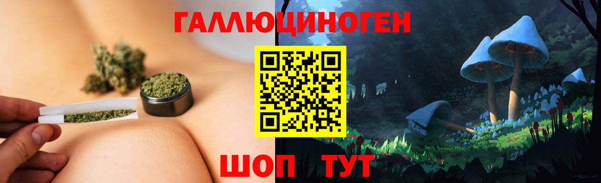 Псилоцибиновые грибы Cubensis Кострома